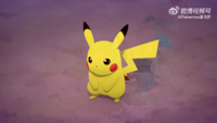 Dominic's Pikachu