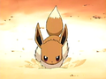 Eevee burrowing underground