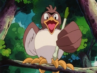 Sylvester's Farfetch'd