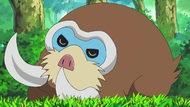 Dawn Mamoswine sleep.png