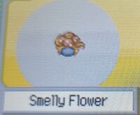 Smelly Flower (Pokemon Ranger).jpg