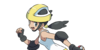 VSRoller Skater F.png