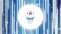 Dawn Piplup Bide 1.png