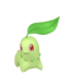 Chikorita