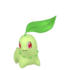 Chikorita