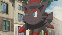 Kodai's Zorua