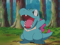 Ash's Totodile