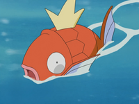 Jessie's Magikarp