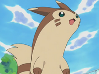 Slavador's Furret