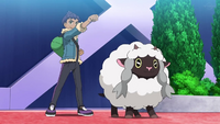 Hop's Wooloo