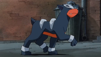 Houndour