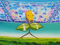 Jeanette Fisher's Bellsprout