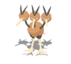 Dodrio