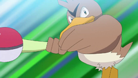 Goh's Farfetch'd