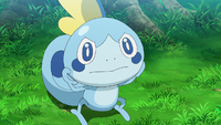 Goh Sobble.png