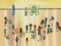 Pokémon Contest class.png