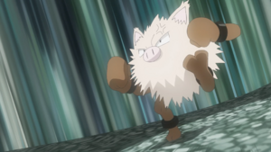 Primeape anime.png