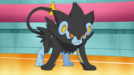 Volkner Luxray.png