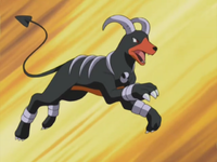 Harrison's Houndoom