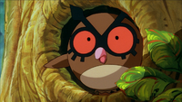 Hoothoot PK04.png