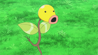 Keanan's Bellsprout