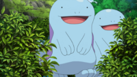 Keanan's Quagsire (multiple)