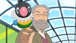 Old Man Chatot.png