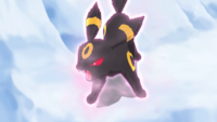 Spinel's Umbreon