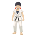 Spr USUM Iwao.png