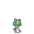 Ralts