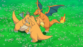 Charizard's wings error