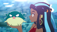 Nessa's Qwilfish