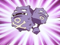 Pokémon League entrance exam instructor's Weezing