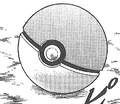 A Poké Ball in Pokémon Gold & Silver: The Golden Boys