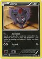 Zorua (69/108)