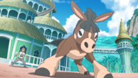 Hiroki's Mudbray