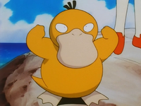 Marina's Psyduck