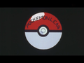 The Poké Ball with "POCKEMON LEAG" inscribed on it