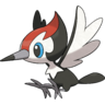 0731Pikipek.png