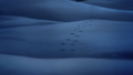 Footprints of Zorua in Fiery Reflections in Snow