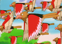 Fearow's Spearow (multiple)