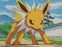 Satsuki's Jolteon