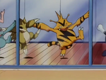 Kumquat Island Electabuzz Poliwhirl.png