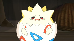 Togepi Charm.png