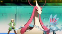 Palmer's Milotic