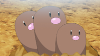 Laxton Dugtrio.png