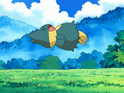 May Munchlax Metronome Splash.png