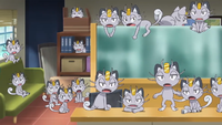 Nanu's Meowth (multiple)