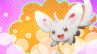 Rocket Prize Master Minccino.png