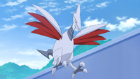 Onia's Skarmory